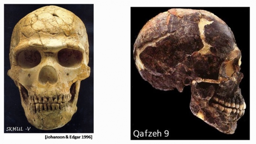 Skhul-V & Qafzeh 9 adalah tengkorak fosil Homo Sapien purba yang ditemukan di Israel. Mereka diperkirakan hidup pada zaman Plestosen Akhir antara 80-120 ribu tahun yang lalu. (Foto: Dokumentasi Johan Arif) 