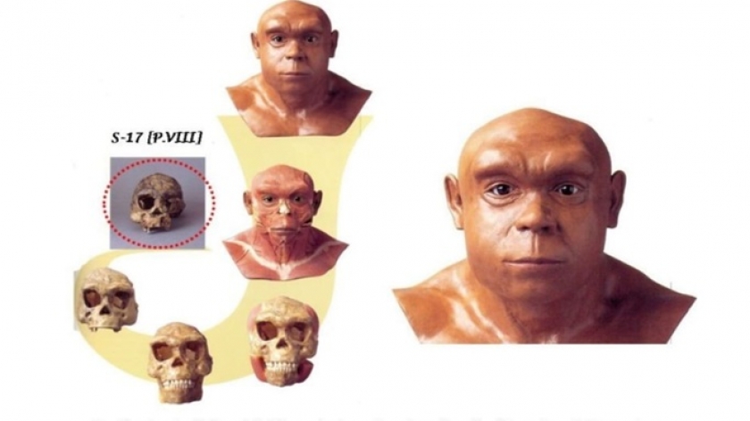 Hasil rekontruksi wajah Manusia Jawa berdasarkan fosil tengkorak Homo erectus (S-17) dari Sangiran oleh ahli dari Jepang. Fosil S-17 ini berada di Museum Geologi Bandung. (Foto: Dokumentasi Johan Arif) 