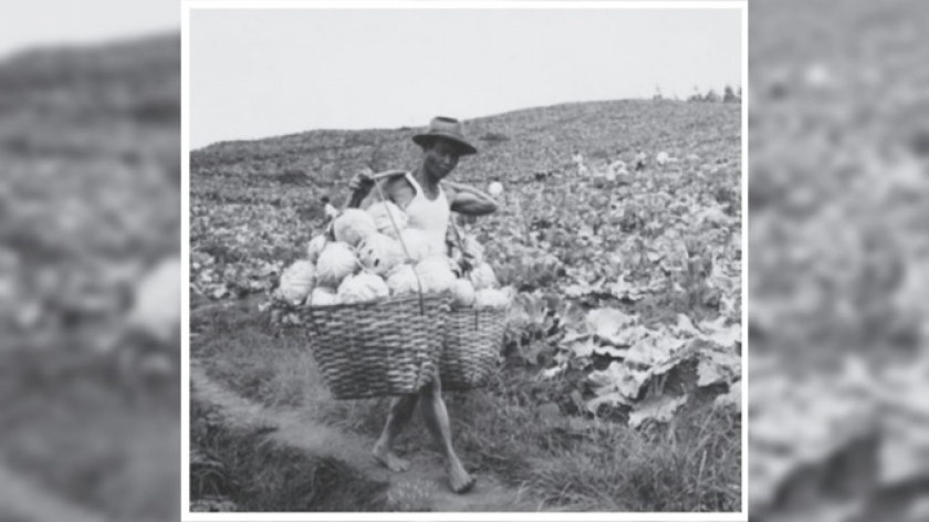 Koloni Suryasumirat, Cibogo (1972). Sumber Wereldculturn.nl. (Foto: Dokumentasi Malia Nur Alifa)